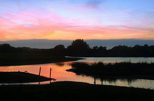 Filey Dams Nature Reserve - East Coast of North Yorkshire