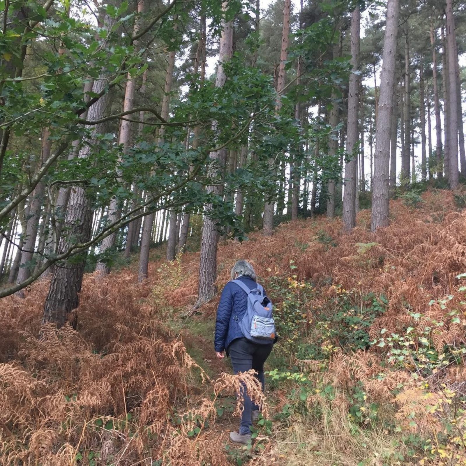 Dalby Forest - 13 Fascinating Walking Trails